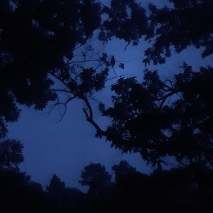 #whatdoyousee?