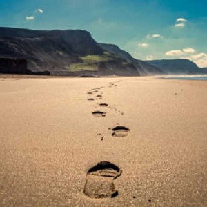 Le destin / ‏المكتوب
