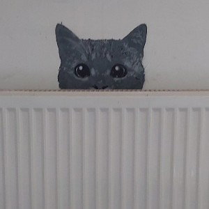 Meow
