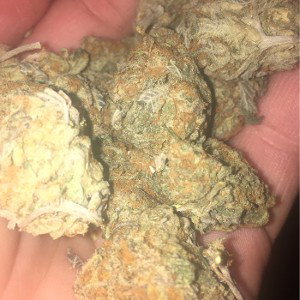 High freestyling #3