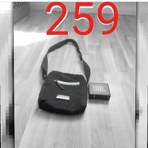 259