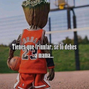 Absurdo 😎