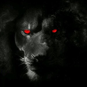 black devil