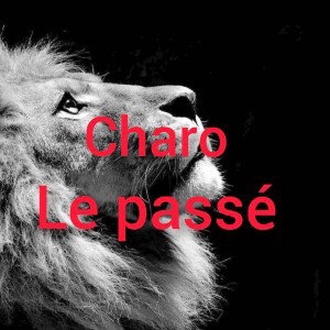 le passé 