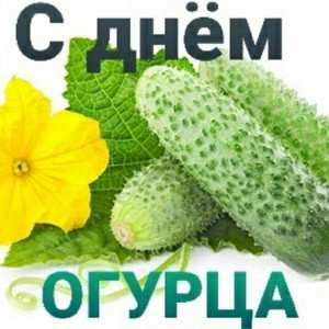 ОГУРЦЫЫЫЫ