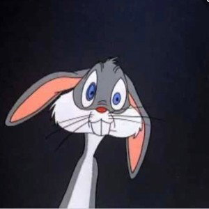 The Rabbit Hole