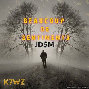 beaucoup de sentiments