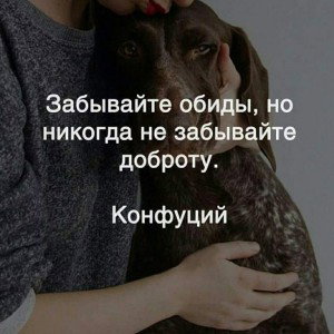 жизнь