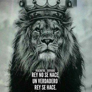 ENTERRANDOTE N€LOY