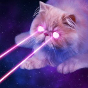 Catty-Lack