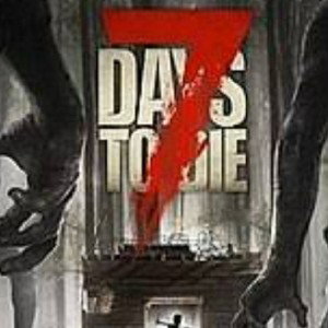 7th day