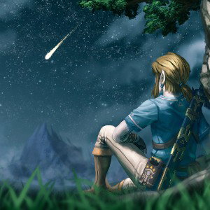 Zeldafreestyle