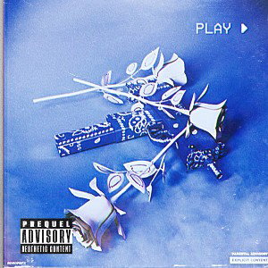 Blue rose 2