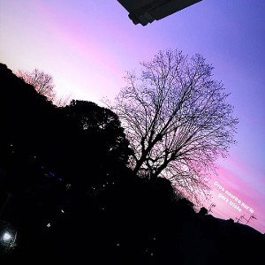 Panic_19-47