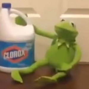 Kermit suicide lil parsnip