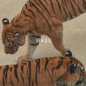 Vogue 