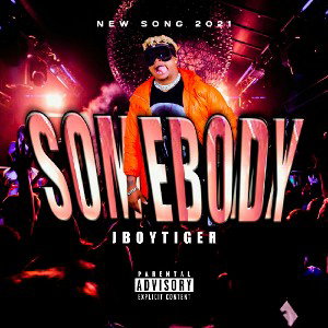 jboy tiger 🐯 - somebody