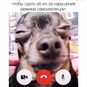 Жизнь трудна Илья Зуилин