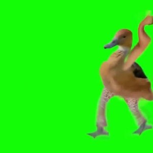 hit
