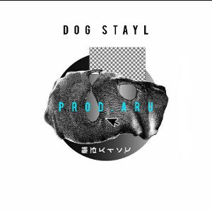 dog stayl