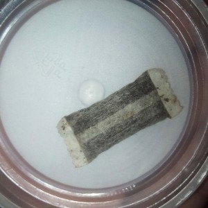 Snus free