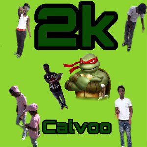 CALVOO - WHY 