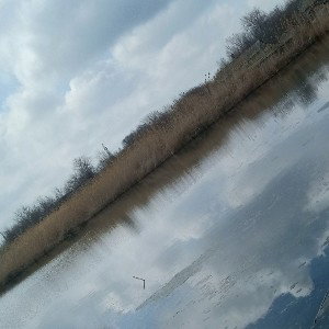 Я устал от рэпа
