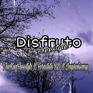 DISFRUTO FREESTYLE Remix 🇩🇴x theKingfreestyle x ForasteroRD x ImprovisoMP