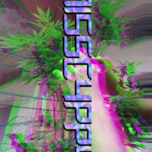 5m0k1n6 