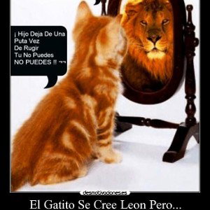 El Gato se cree Leon