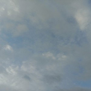 Growise - No problem