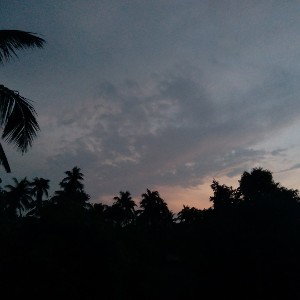 On The Ground (cover)