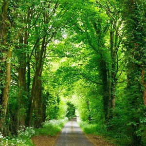 green