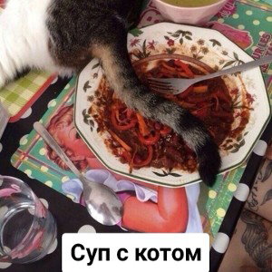 ЗАВАФЛИЛ - Я ТВОЙ ОТЕЦ.(MSB_2r)