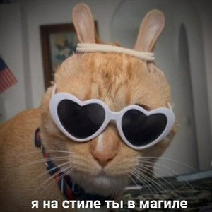 ОНО