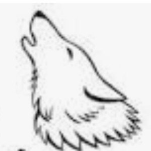 quickly. Wolf head