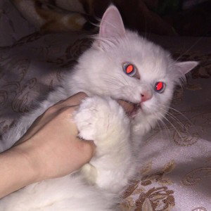 Я так устал