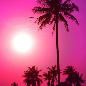 TreyBandze100k - Sunset