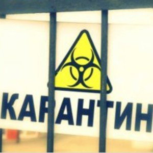Карантин-это плохо