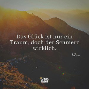 Alles nur ein Traum
