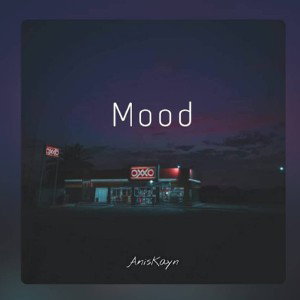 Aniskayn - Mood (prod. by atez)