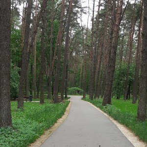 Я ПОЗЗЕТИВНЫЙ ЧЕЛОвек