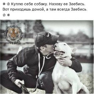 Мэвл - Патамушта