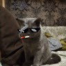 только начал