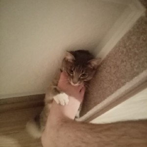 все что делали с тобою мы