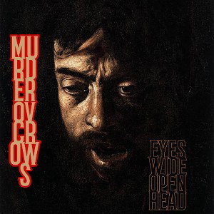 EYES WIDE OPEN HEAD