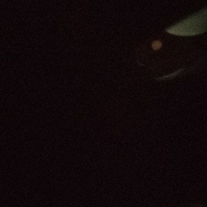 red eye demon