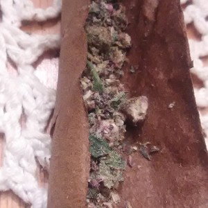 wild  in da freestyle pile