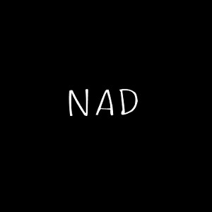 NAD - recycling