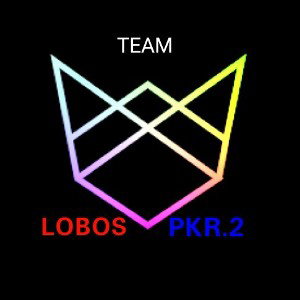 PARKOUR JUSTIN LOBO PKR